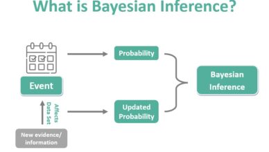 Bayesian Inference Models