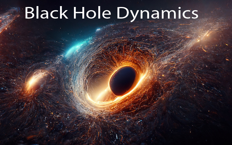 Black Hole Dynamic