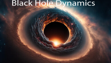 Black Hole Dynamics