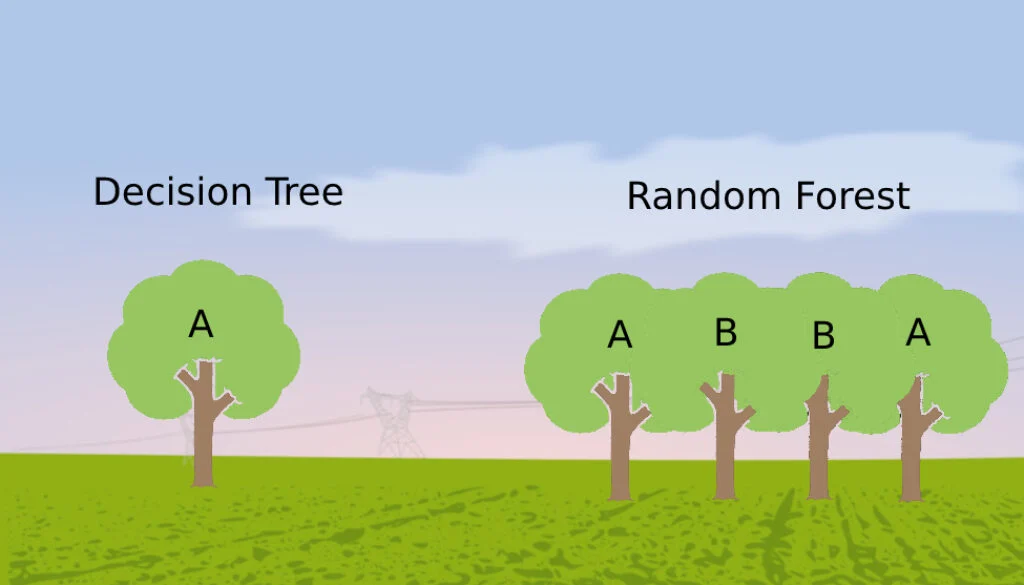 Decision Trees and Random Forests