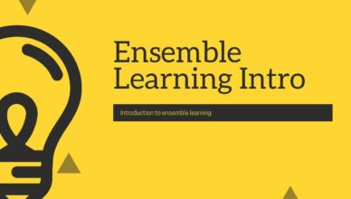 Ensemble Learning Techniques
