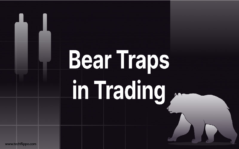 Bear Traps