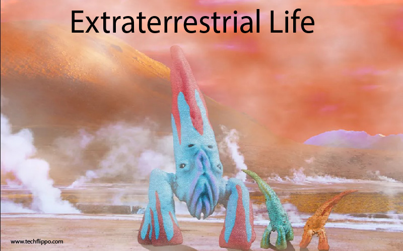 Extraterrestrial Life