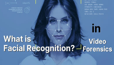 Image and Video Recognition