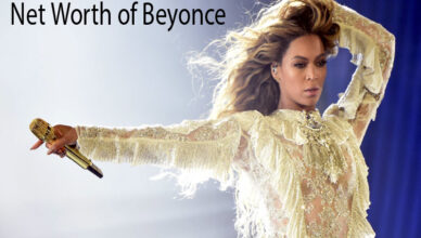 Net Worth of Beyonce