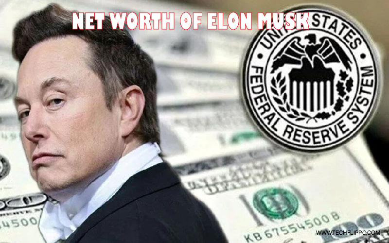 Net Worth of Elon Musk