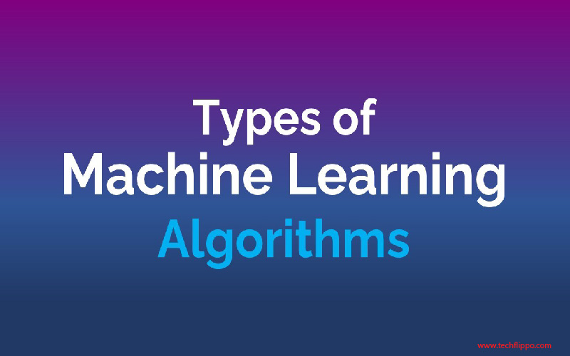 Robot Learning Algorithms