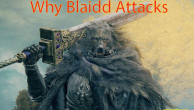 Why Blaidd Attacks