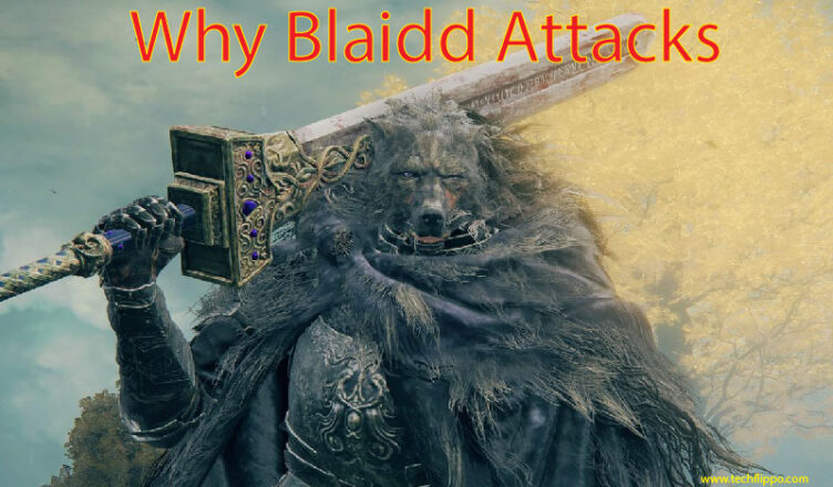 Why Blaidd Attacks