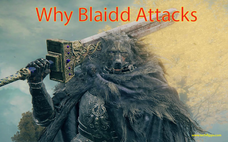 Why Blaidd Attacks