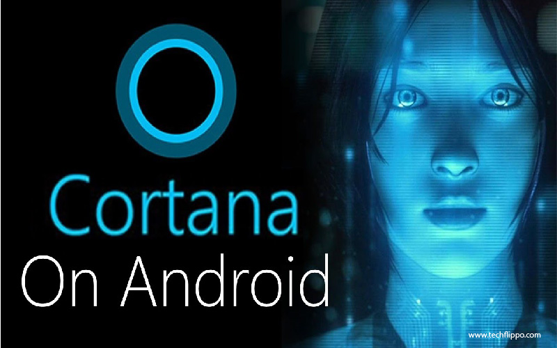 the Cortana