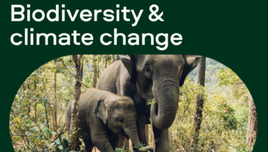 Global Warming on Biodiversity