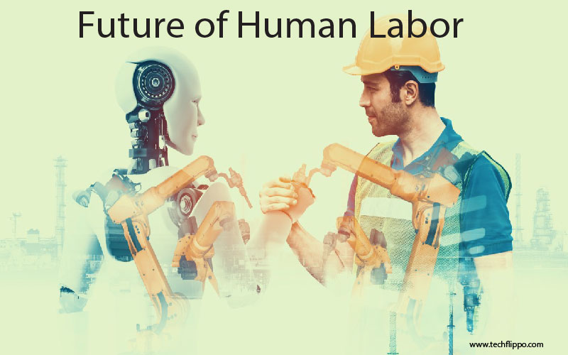 Human Labor