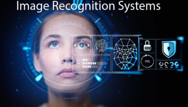 Image Recognition Systems