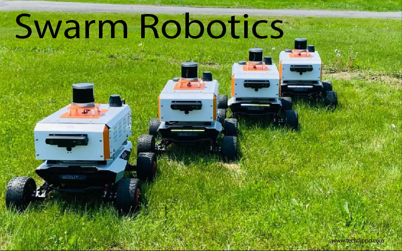 Swarm Robotics