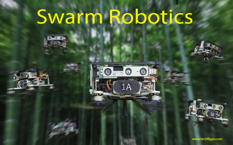 Swarm Robotics